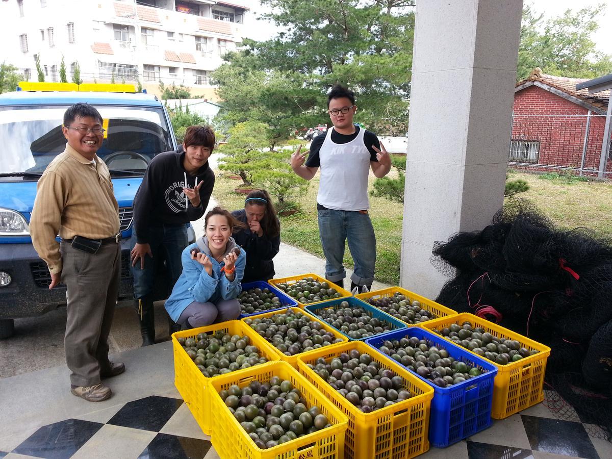 Songfeng Xiuxian Homestay Puli Exterior foto